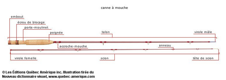 poignée