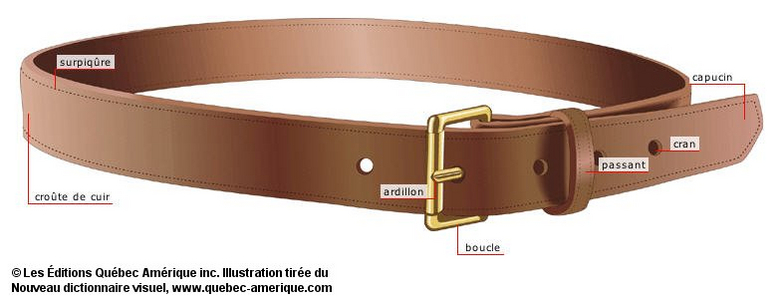 ardillon