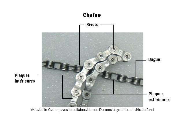rivet