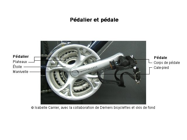pédale
