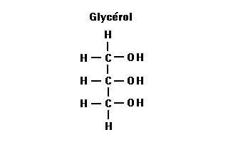 glycérol