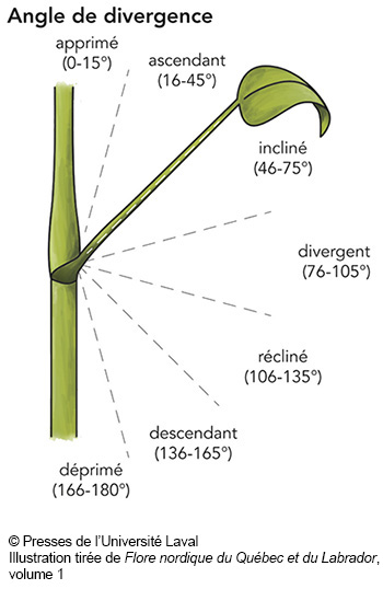 déprimé
