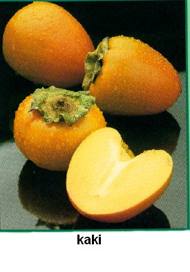 kaki