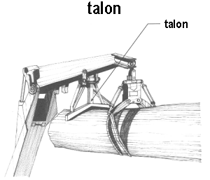 talon
