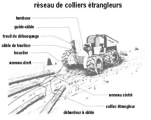 réseau de colliers étrangleurs