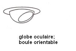 spot encastré orientable