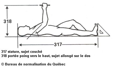portée poing vers le haut, sujet allongé sur le dos