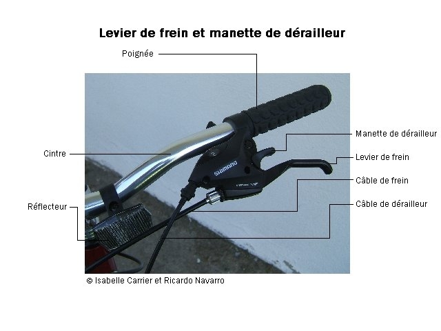 câble de dérailleur