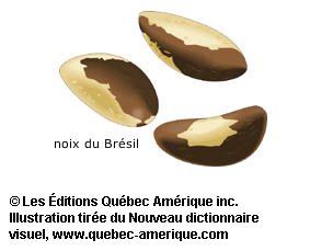 noix du Brésil