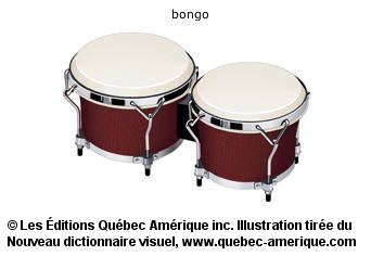 bongo